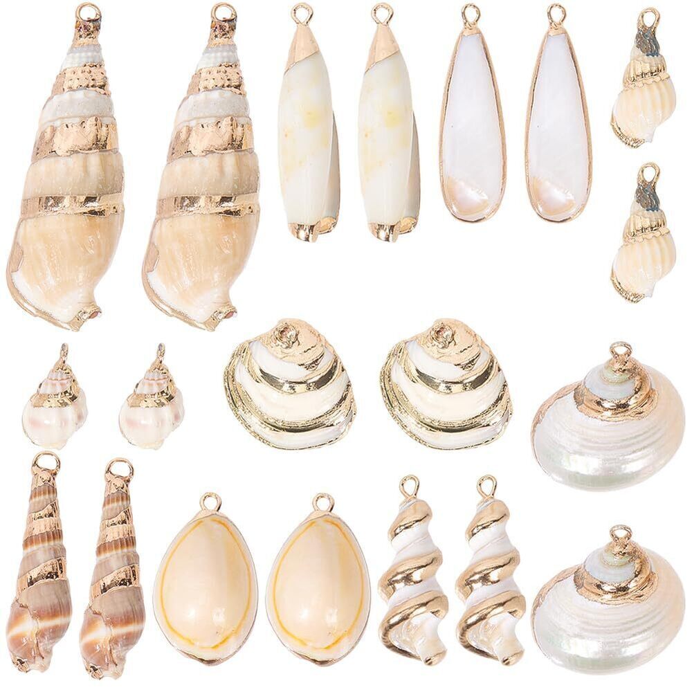 9169 1 Box 10 Styles Seashell Charms Natural Sea Shell Charms Bulk White
